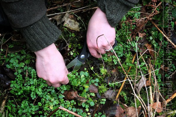 FT FEATURES : BUSINESS LIFE