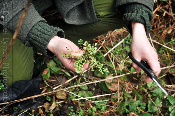FT FEATURES : BUSINESS LIFE