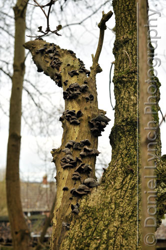 FT FEATURES : BUSINESS LIFE