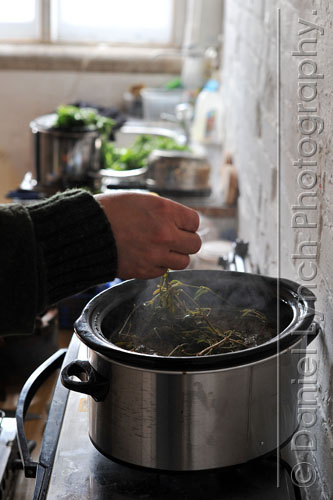 FT FEATURES : BUSINESS LIFE