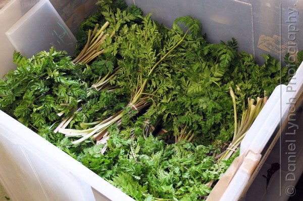 FT FEATURES : BUSINESS LIFE