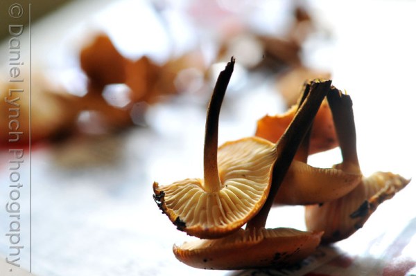 FT FEATURES : BUSINESS LIFE