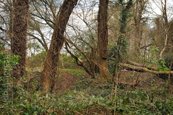 FT FEATURES : BUSINESS LIFE