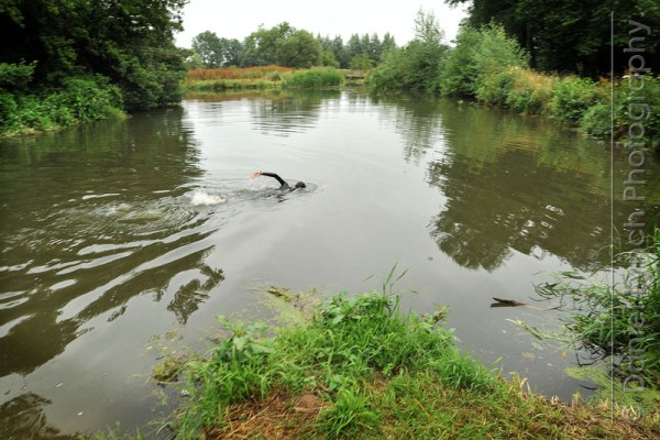 METRO FEATURES : WILD SWIM