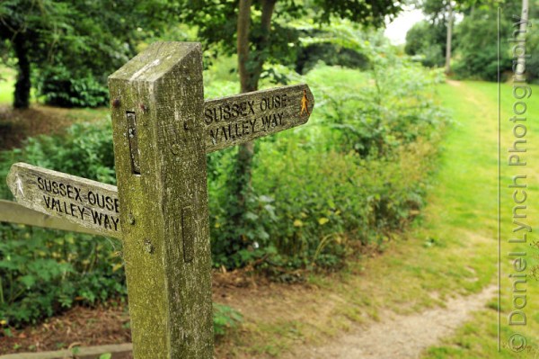 METRO FEATURES : WILD SWIM