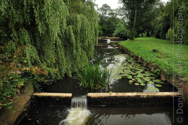 METRO FEATURES : WILD SWIM