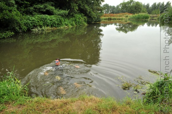 METRO FEATURES : WILD SWIM