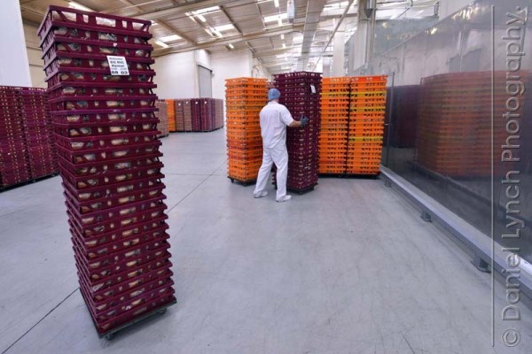 McDONALD'S QUALITY SCOUTS UNDERTAKE THE 'BIG MAC' TOUR