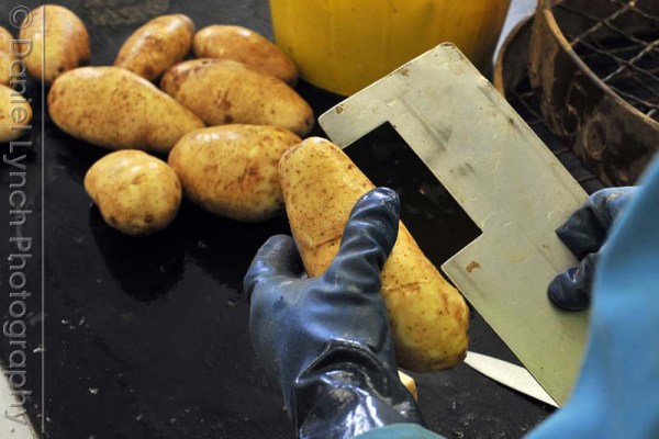 McDONALD'S QUALITY SCOUTS - FRENCH FRIES TOUR