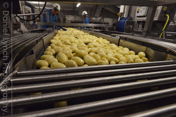 McDONALD'S QUALITY SCOUTS - FRENCH FRIES TOUR