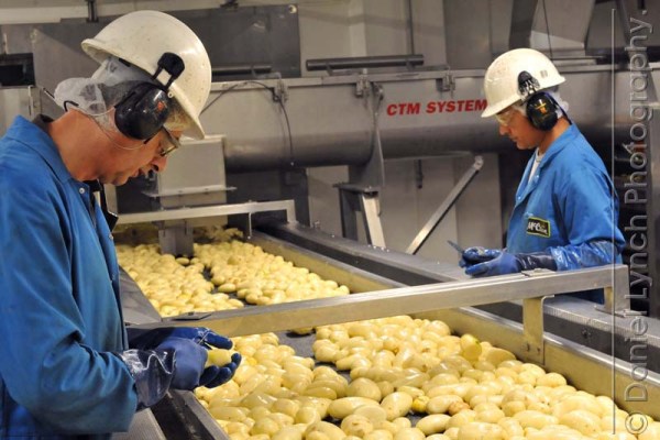 McDONALD'S QUALITY SCOUTS - FRENCH FRIES TOUR