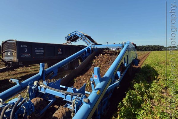 McDONALD'S QUALITY SCOUTS - FRENCH FRIES TOUR