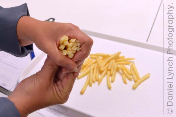 McDONALD'S QUALITY SCOUTS - FRENCH FRIES TOUR