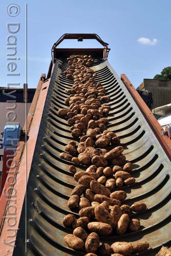 McDONALD'S QUALITY SCOUTS - FRENCH FRIES TOUR