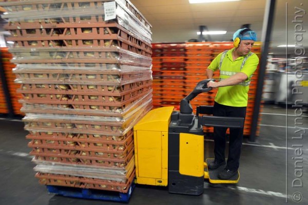 McDONALD'S QUALITY SCOUTS - SAUSAGE & EGG McMUFFIN TOUR