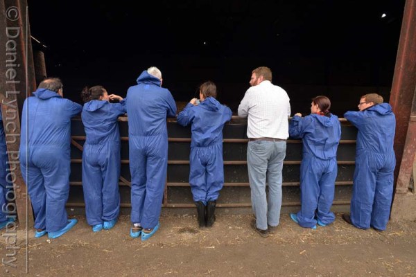 McDONALD'S QUALITY SCOUTS - SAUSAGE & EGG McMUFFIN TOUR