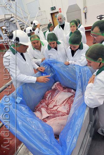 McDONALD'S QUALITY SCOUTS - SAUSAGE & EGG McMUFFIN TOUR