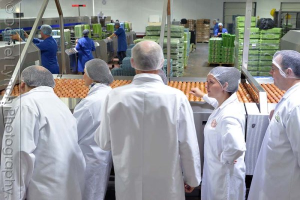 McDONALD'S QUALITY SCOUTS - SAUSAGE & EGG McMUFFIN TOUR