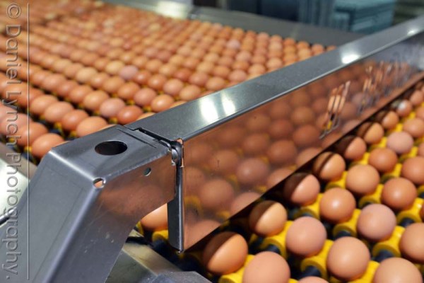 McDONALD'S QUALITY SCOUTS - SAUSAGE & EGG McMUFFIN TOUR