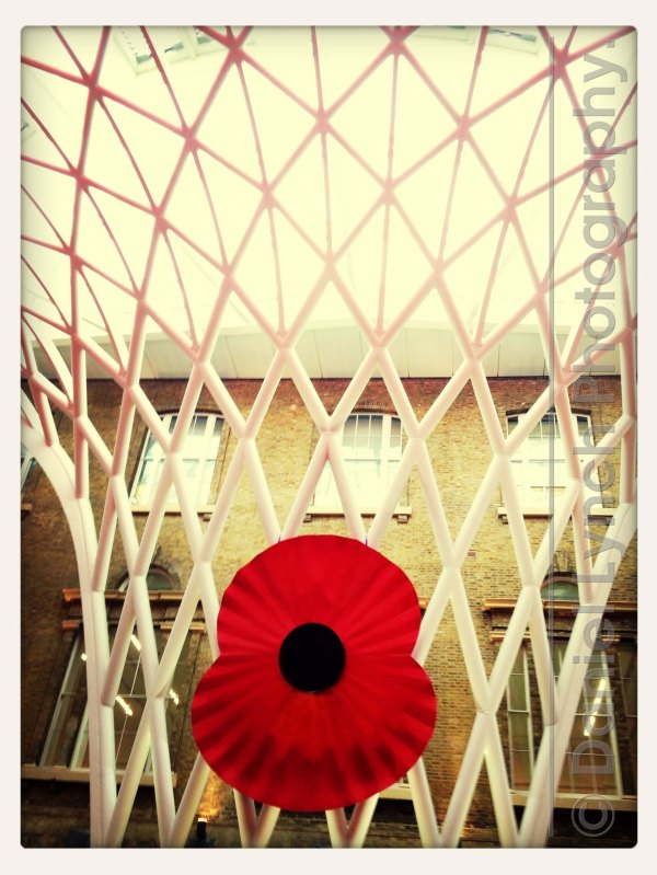 Photo 07-11-2013 10 31 00 am (1)