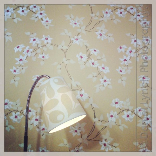 Photo 10-01-2013 01 48 38 AM