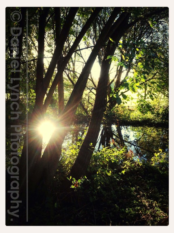 Photo 10-11-2013 02 51 38 pm (1)