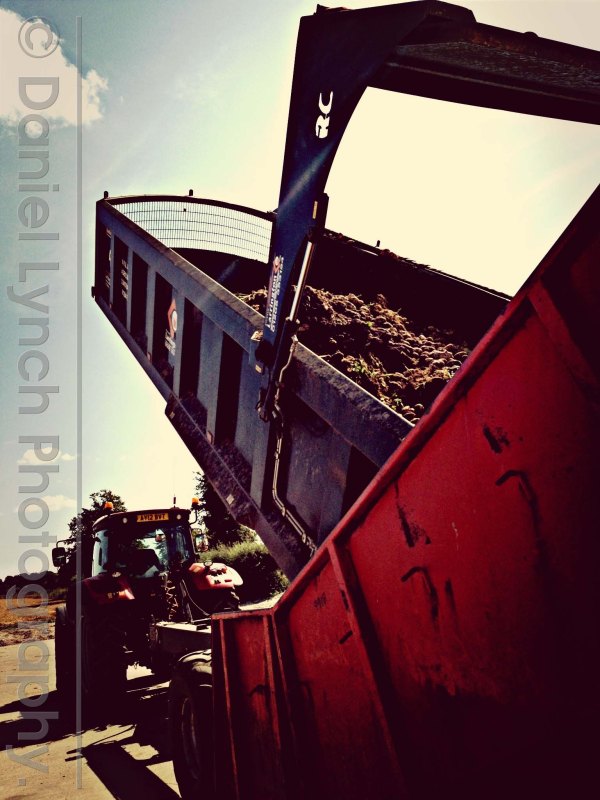 Photo 20-08-2013 11 29 33 am (1)