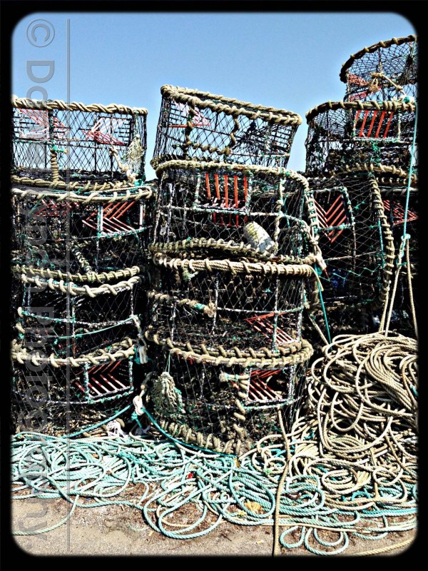 Photo 22-08-2013 01 25 31 pm (1)