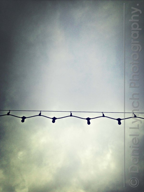 Photo 28-06-2013 12 56 58 pm