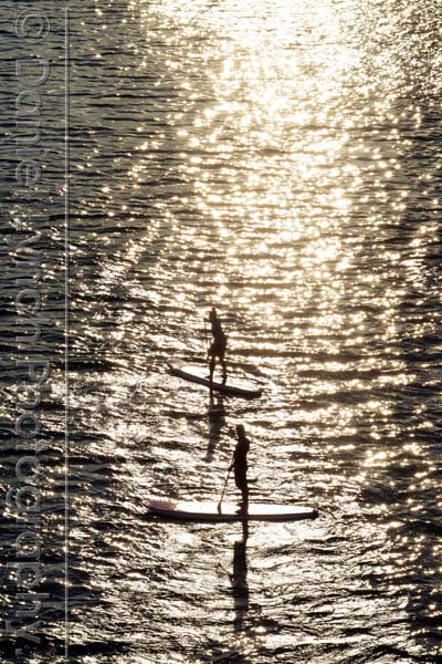 METRO FEATURES : HEALTH- SUP