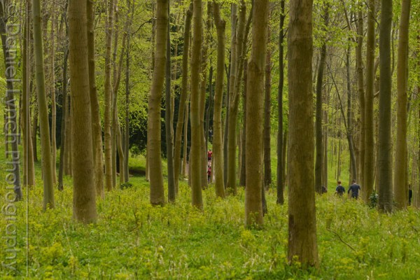 # MUDDER GENERALS # 02/05/15. METRO FEATURES : TOUGH MUDDER. PICTURE SHOWS THE TOUGH MUDDER CHALLENGE, HENLEY-ON-THAMES. Credit: Daniel Lynch. 07941 594 556. www.lynchpix.co.uk